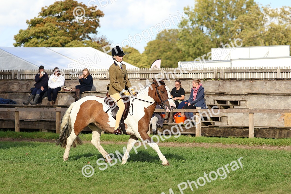 SBM_52503 - S13 - Pony Club Pony
