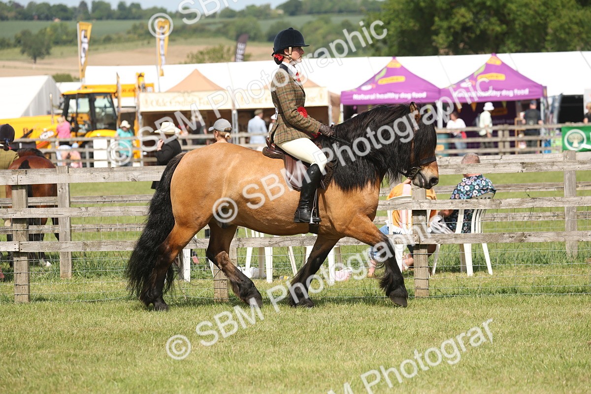 SBM_07670 - Class 26-30 - Mountain and Moorland Ridden