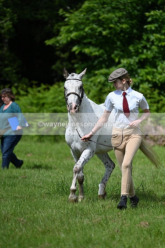 WJ7_1304 - Class 11 Condition & Turnout