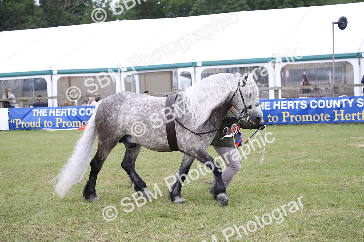 SBM_09810 - Ch 50 - Price Family Supreme In Hand