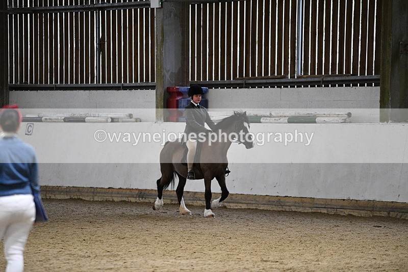WJ5_8441 - Class 14 Novice Ridden/Rider