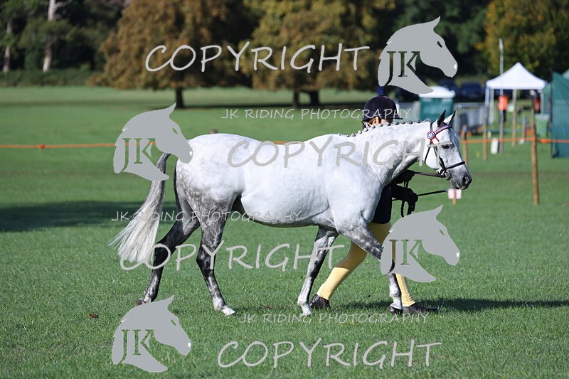 APP_2526 - Class 18 Young Handler