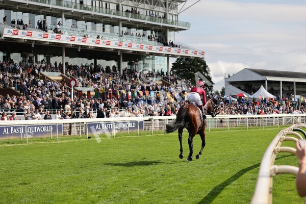 yr18082021r4-108 - Race 4 3.35pm Juddmonte International Stakes (British Champion Series race)