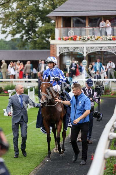 yr20082021r4-117 - Race 4 3.35pm Coolmore Wootton Bassett Nunthorpe Stakes (British Champions Series Race)