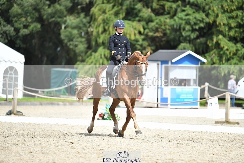 230812-141444-04642 - Cls 7 FEI PSG Bronze