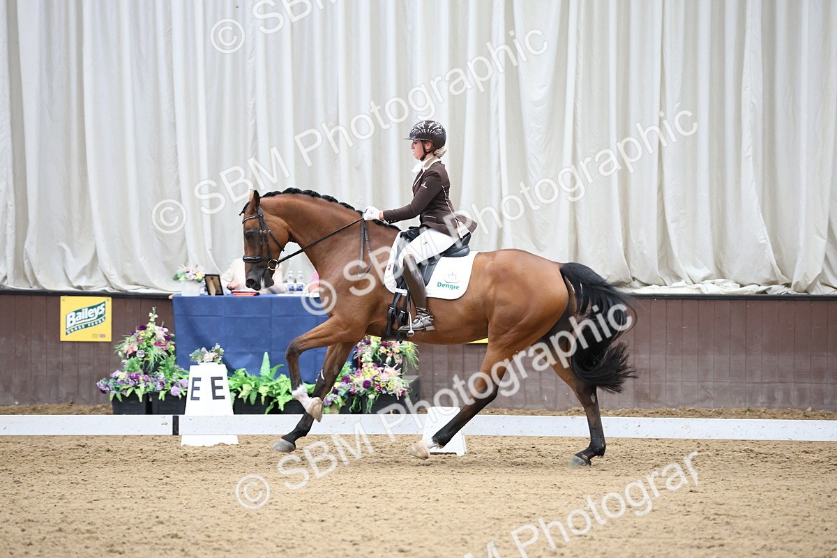 SBM_003430 - Class 5 - Novice 6 Gold - 13.05-14.00