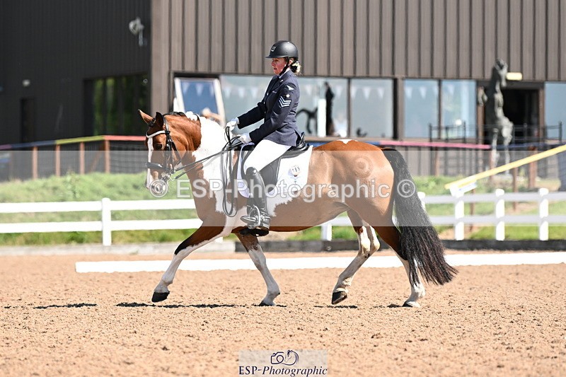 240816A-110744-04002 - 189-Mel.Day-Dolderwydd.lucky.Maisie