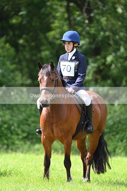 WJ7_1334 - Class 11 Condition & Turnout