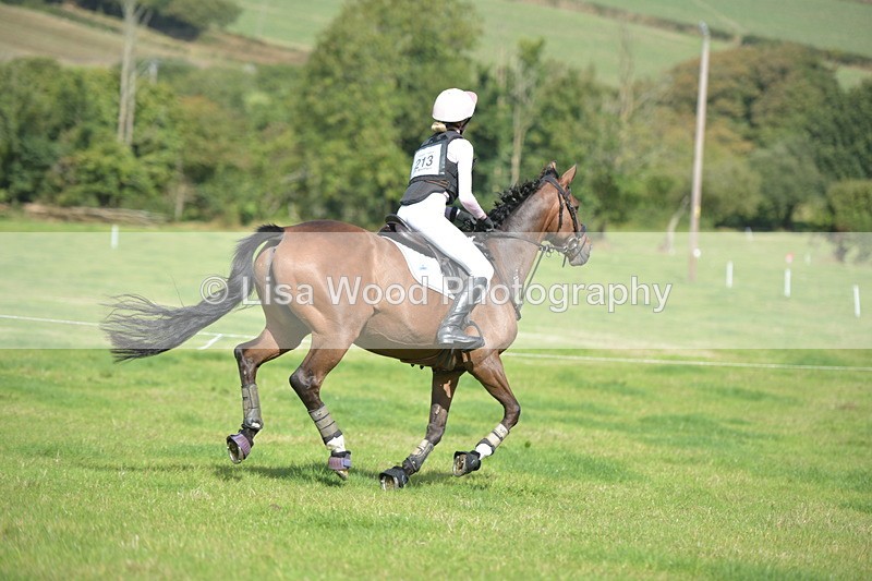 RAY_8915 - Class 2: Trekenning Open: Wall