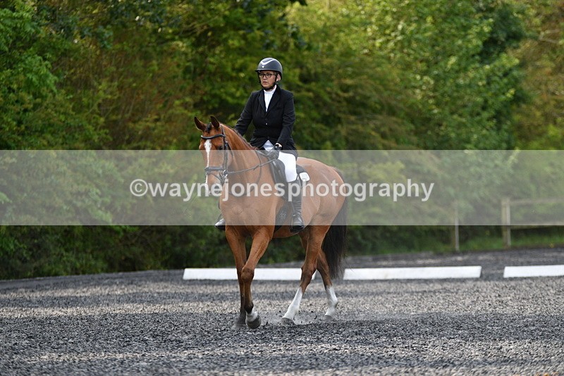 WJ5_9334 - Time 10:10 to 10:47