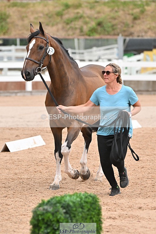 250716-144118-01307 - Trot Up 2.30 to 3.30