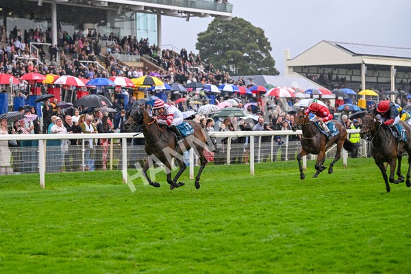 080924-Race 7-Young Fire-9714 - Race 7 5.10pm Elevator Company Amateur Jockeys' Handicap