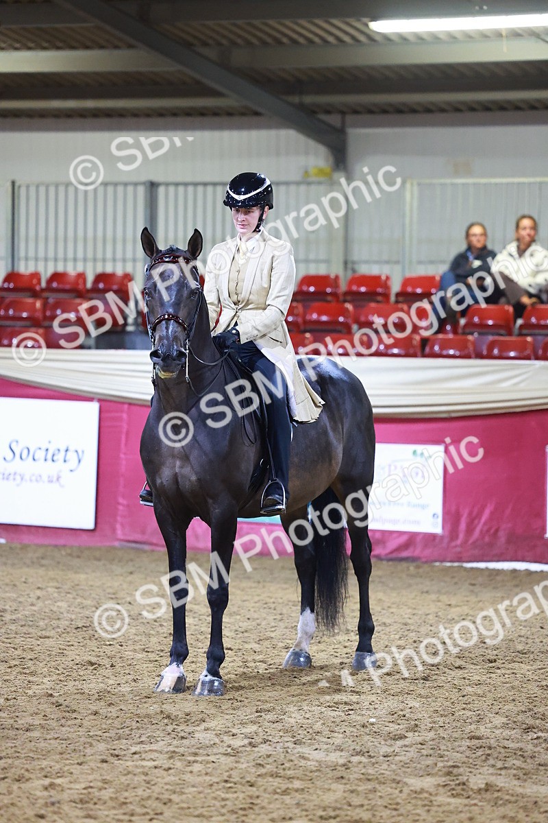 SBM_15524 - Class R - Veteran Champ