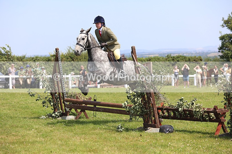 JPP_2473 - Class 21: Working Hunter 60cm