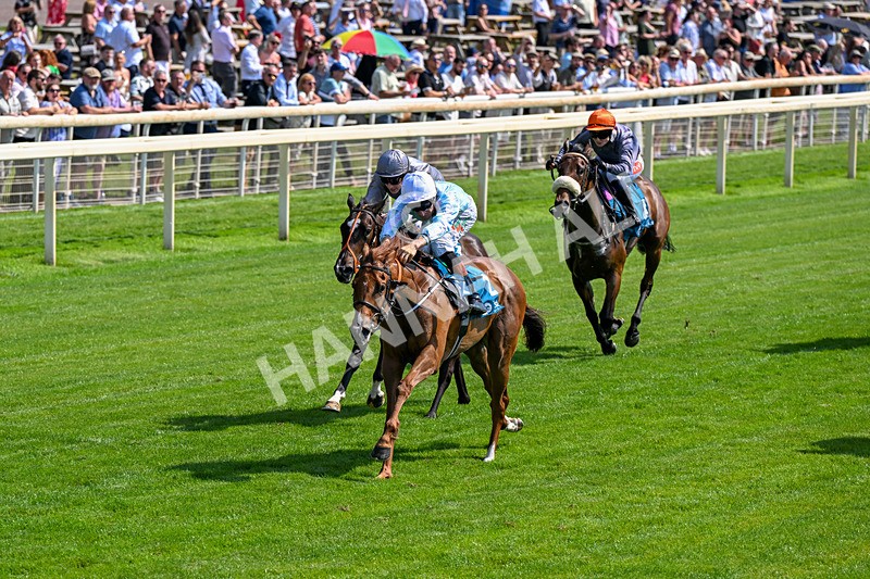 100726-Race 3-Betty Boop-0230 - Race 3 15.20pm Irish Thoroughbred Marketing EBF Fillies' Novice Stakes