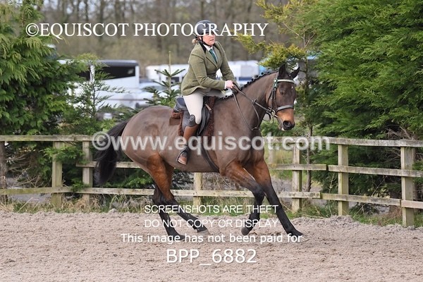 BPP_6882 - RING 1  (RIDDEN HORSES / IN HAND / VETERAN ETC)