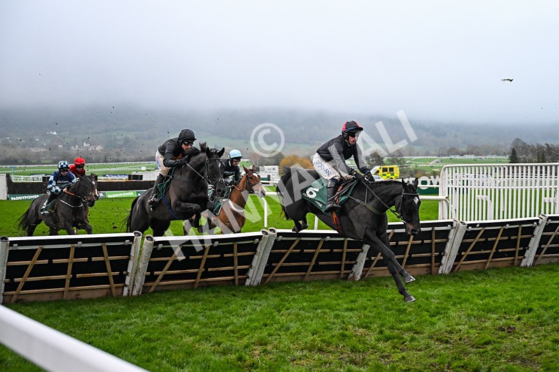 151125-Race 6-Littlefoot-4115 - Race 6