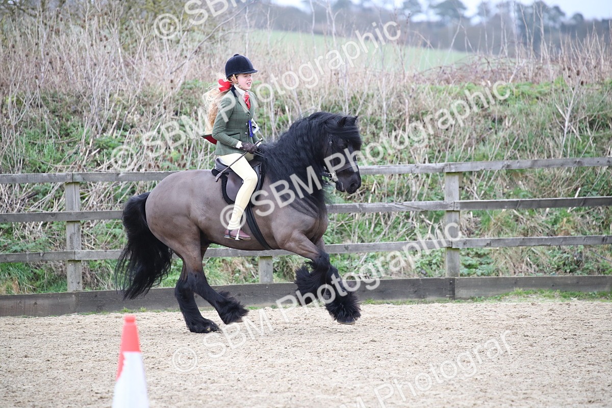 SBM_006253 - Class 10-13 - RIHS Small Large Breeds