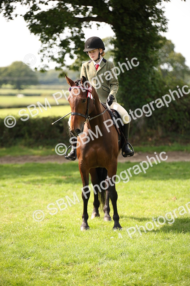 SBM_65989 - S64 - Riding Horse & Hack & Thoroughbred Ridden
