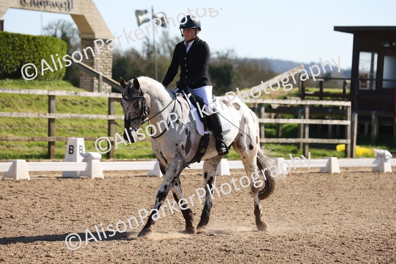 20260318-0465 - Class 5 - Novice 2