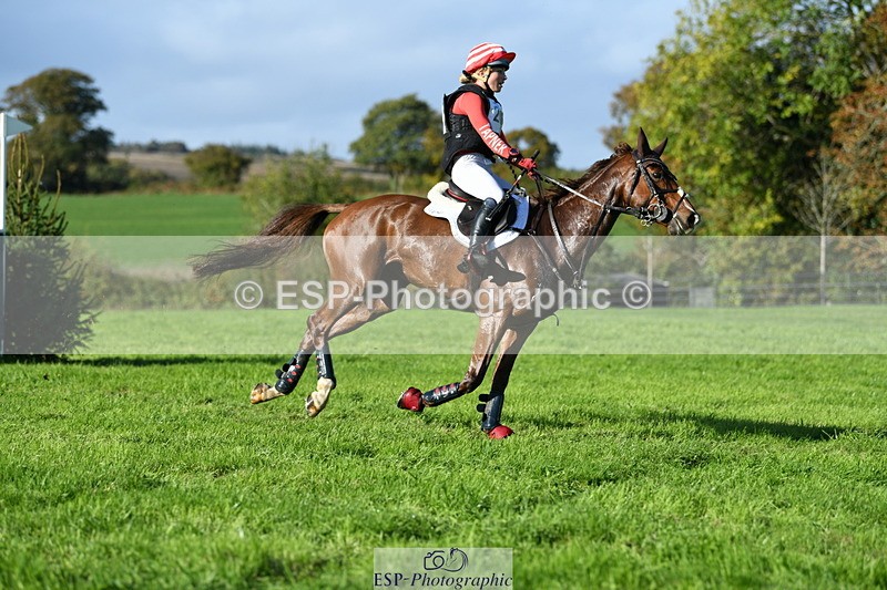 251024A-143544-13456 - C-206-Madison.Tapner