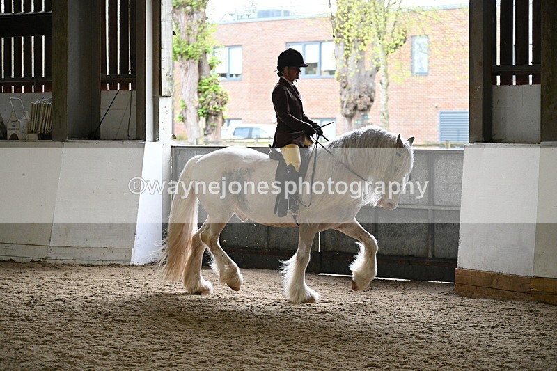 WJ7_3769 - Class 17 Ridden Cob