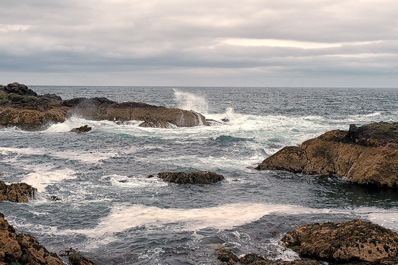 Coast Borders 6208 - Water Element