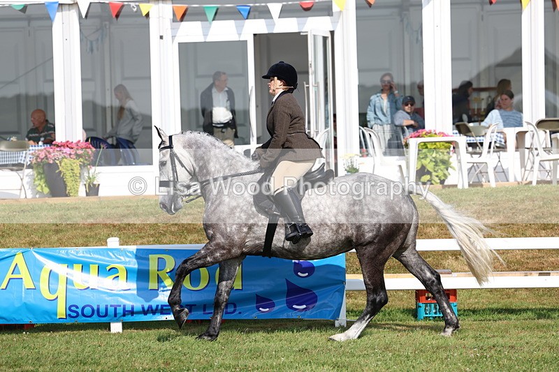 3E7A8598 - Class 3: Rising Star S/L Hunter