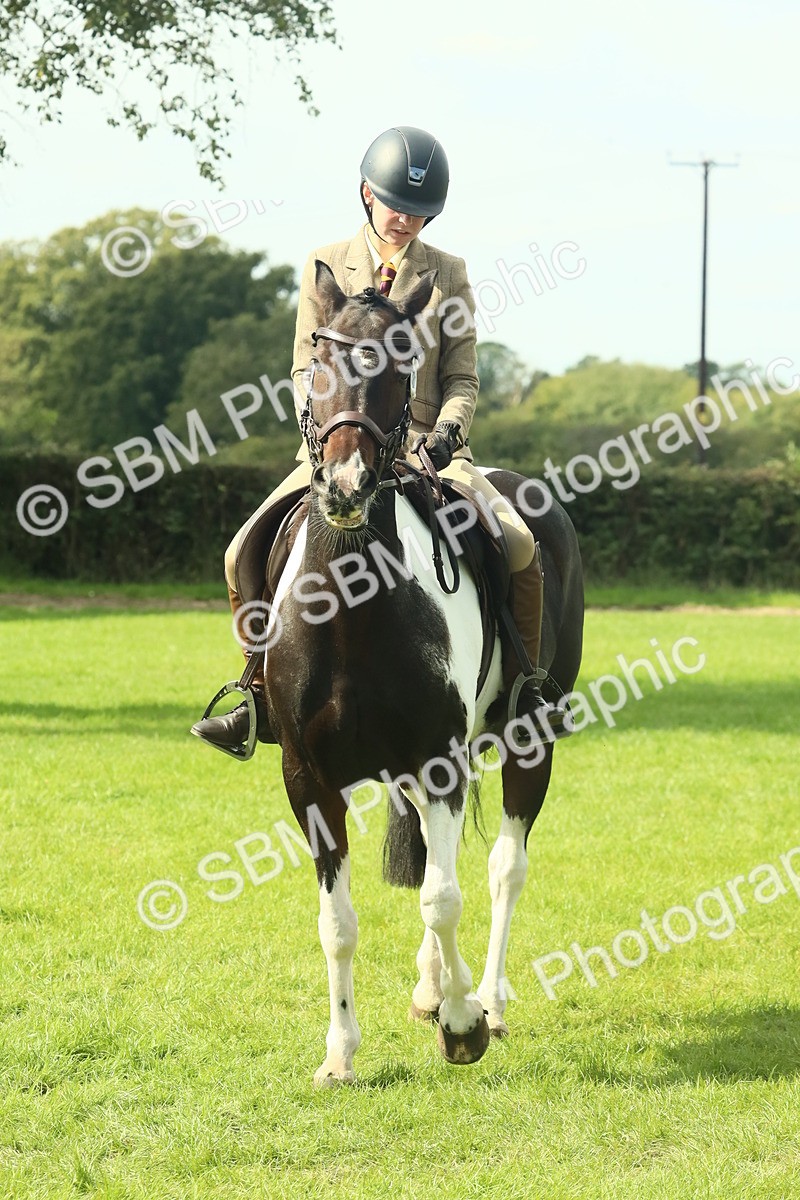 SBM_66417 - S34 - Rehabilitated Rescue Horse & Pony In Hand & Ridden