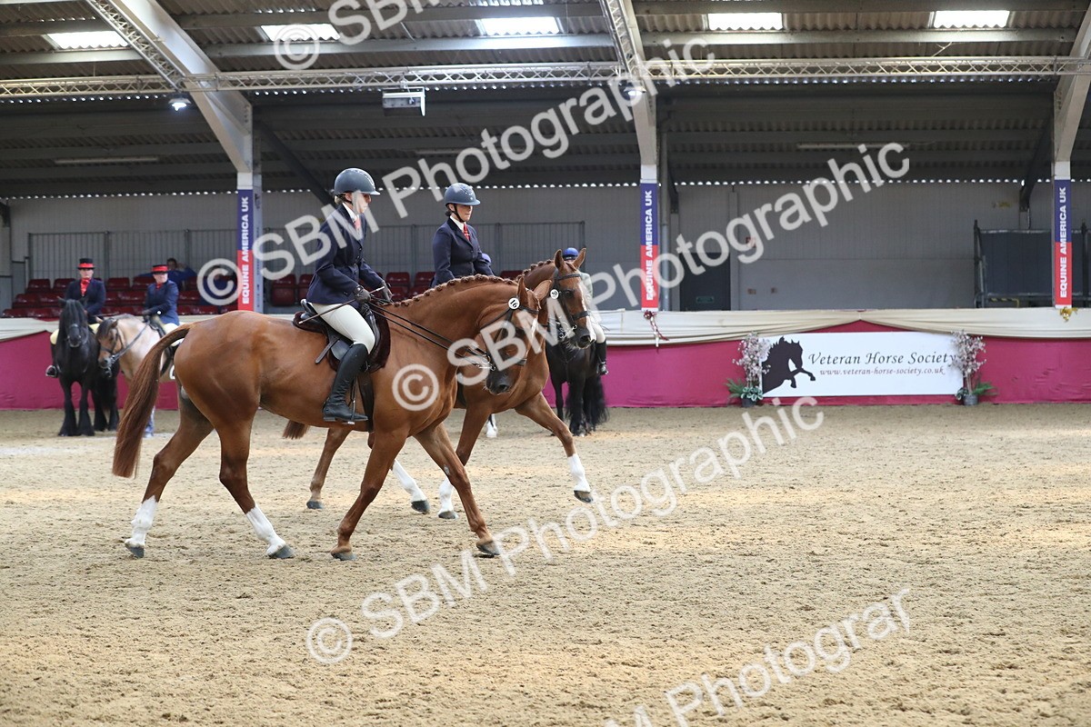 SBM_13013 - Class 109 Ridden Pairs- Section A