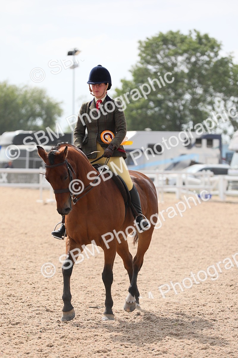 SBM_15631 - Class 311 Ridden Show Pony/ Show Hunter Pony