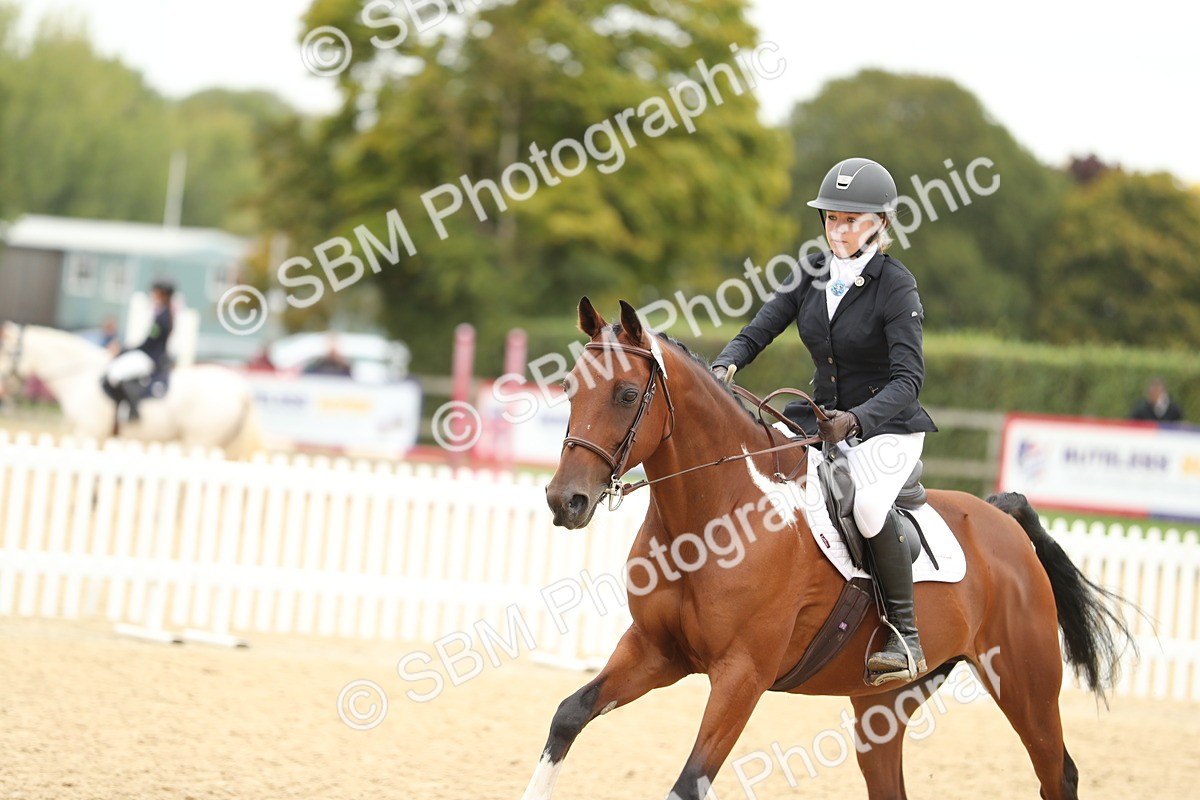 SBM_63101 - Supreme championship 75cm 80cm