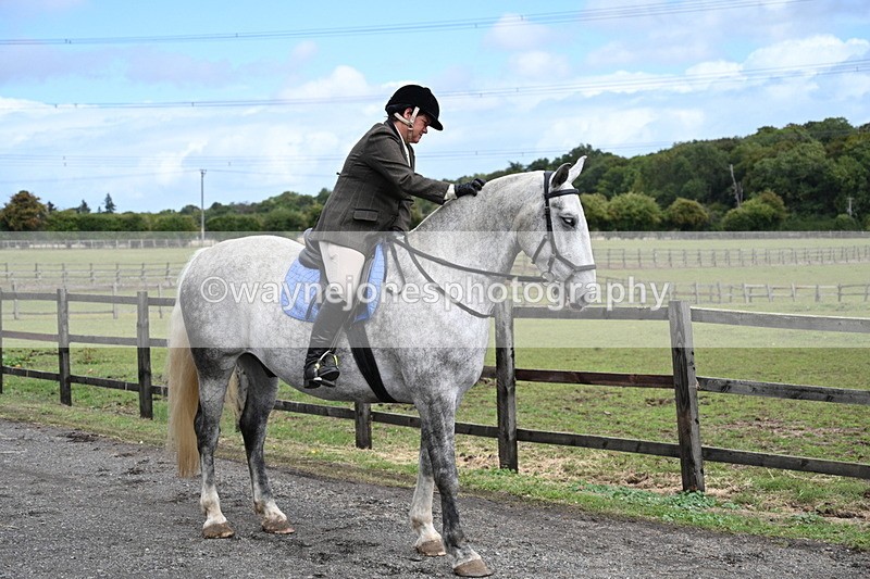 WJ7_6763 - Berks & Bucks at Blandy’s Farm 31-08-25