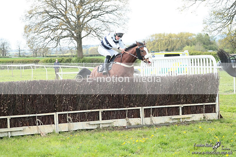 PtP 180426 553 - Worcestershire Hunt PtP Chaddesley Corbett 18/04/26