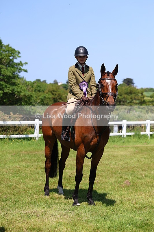 3E7A7428 - Class 30: Novice Working Hunter