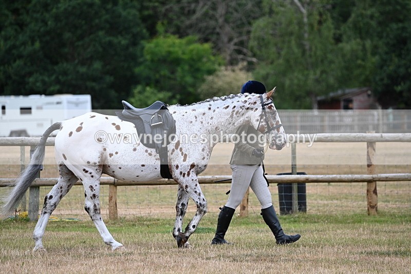WJ6_3712 - Class 9 Tack & Turnout