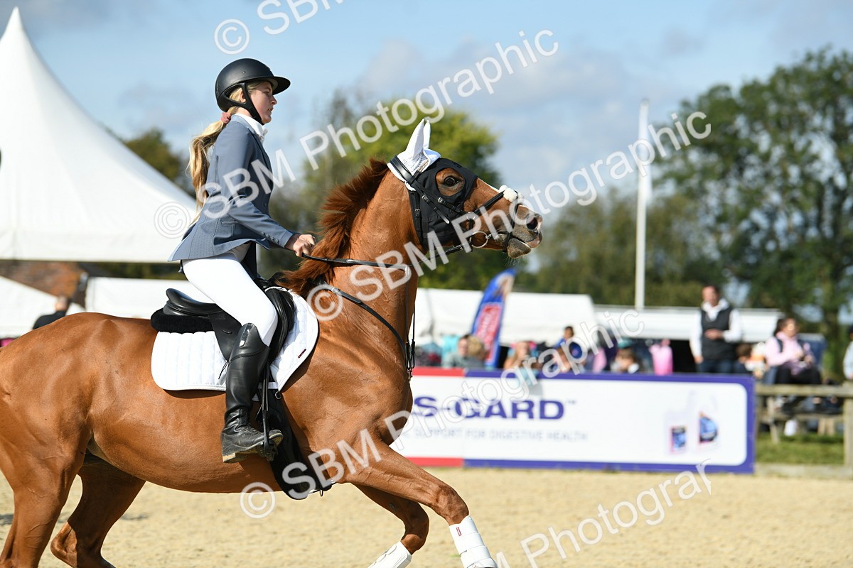 SBM_61730 - j25 - Junior Horse 80cm Championship