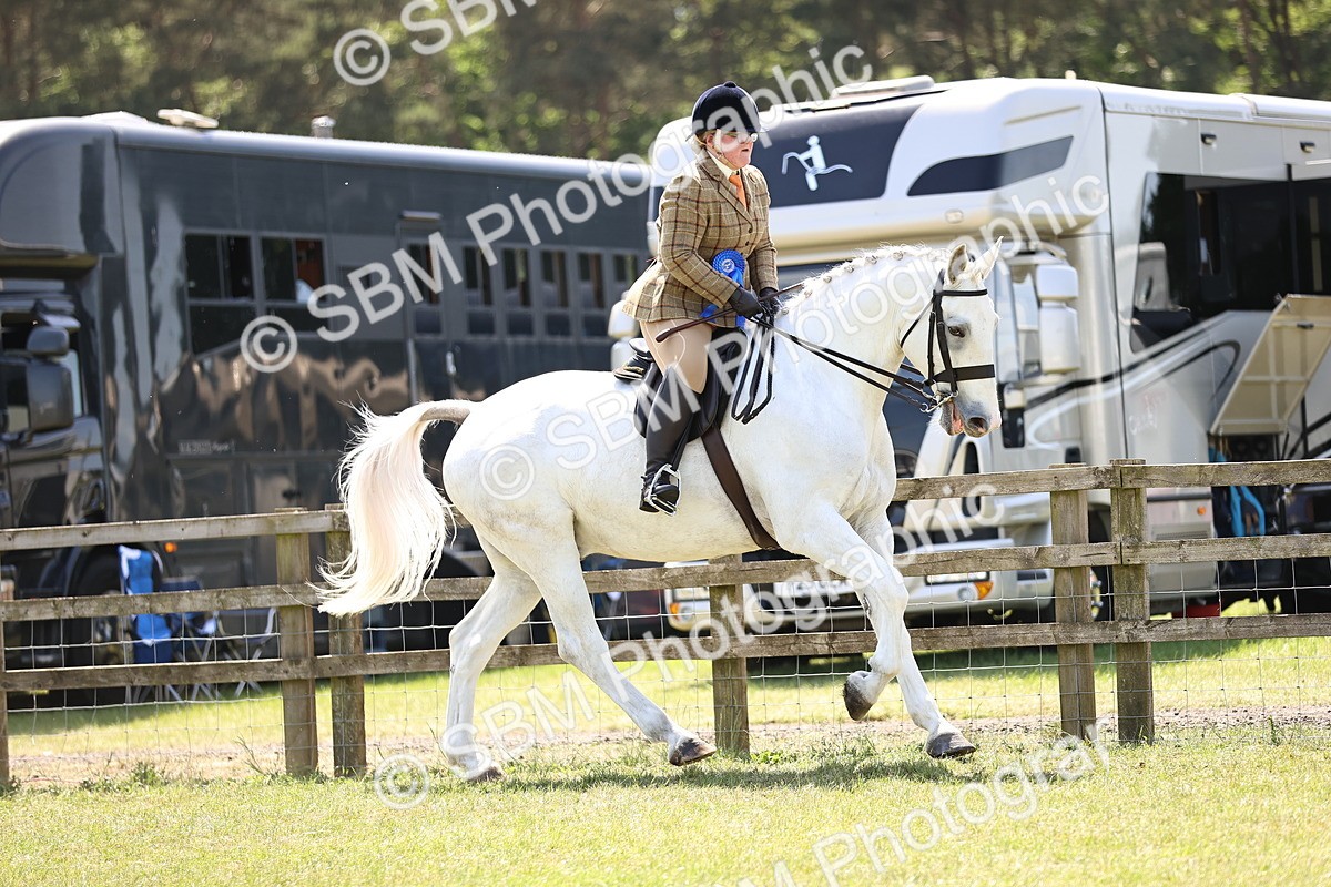 SBM_16194 - Class 79-80 - LIHS BSHA Rising Star Ridden Hunter