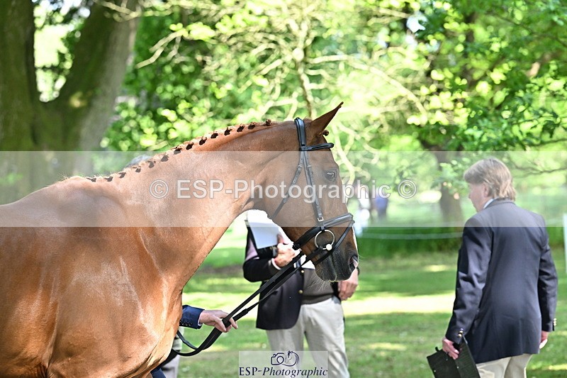 250521A-154236-00709 - B-354-Oliver.Thompson-LAGANS.RICE.STAR