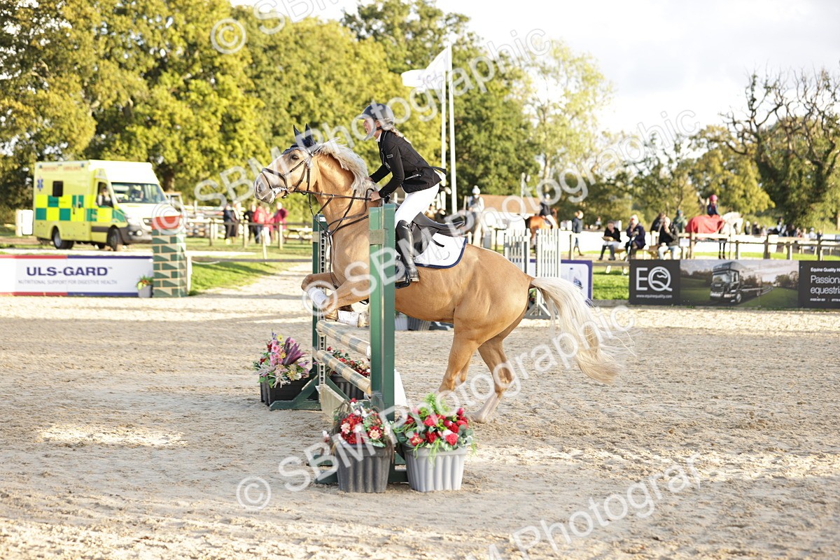 SBM_30175 - j52 - Open 80cm