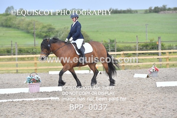 BPP_0037 - SHORT ARENA  MY QUEST PRELIM