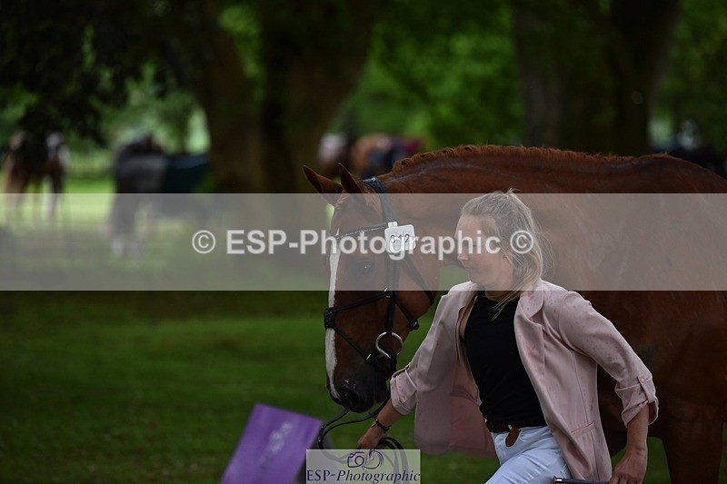 240522-151140-00155 - 312-DALOUBET_MANSOLEIN_Z-Kat_Raybould