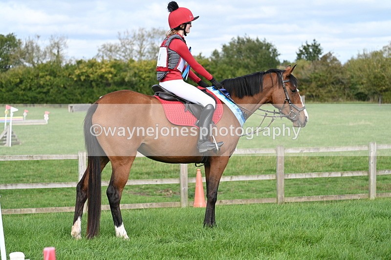 WJ7_8214 - 40cm Champs