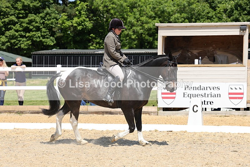 1X9A1688 - Class 11: Ridden Cob