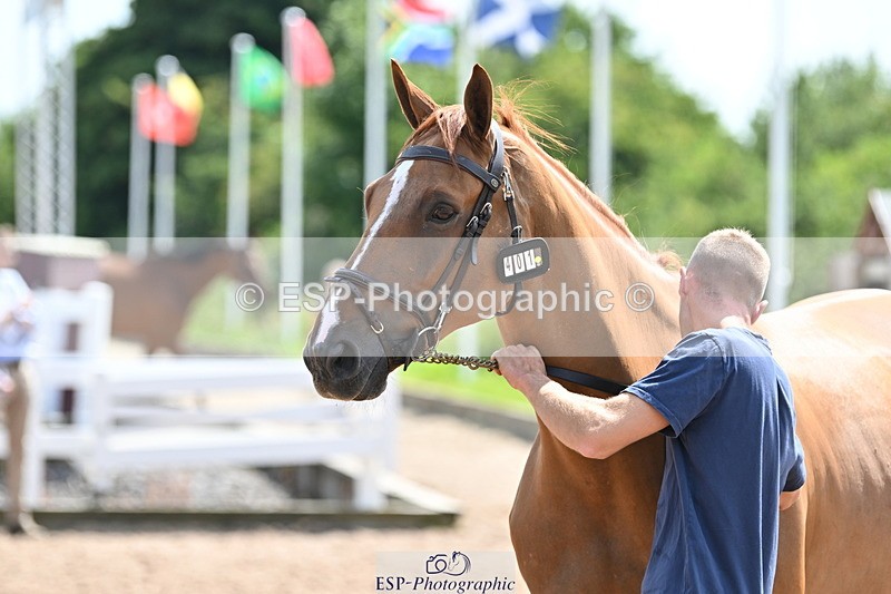 240717A-151225-02643 - Trot Up 3pm to 4pm