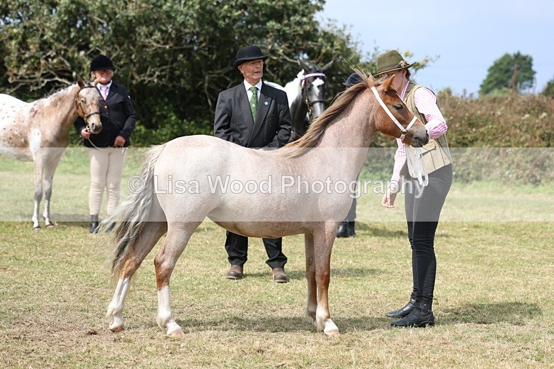 3E7A5412 - Class 19: Best Coloured in Hand