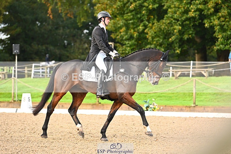 231021-091406-12801 - 324-HAZZLE.DAZZLE-Henry.Hobby-DR