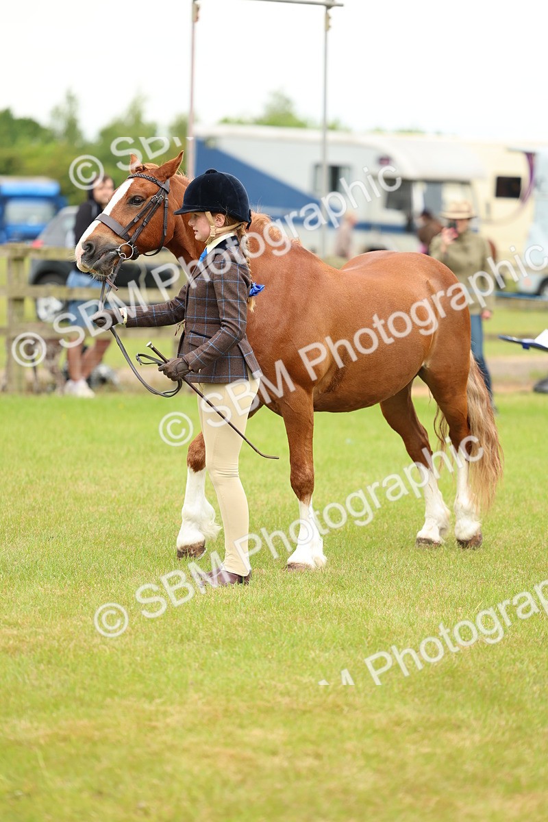 SBM_10366 - Class 44-45 - LIHS BSPS Open Nursery and Cradle Stakes