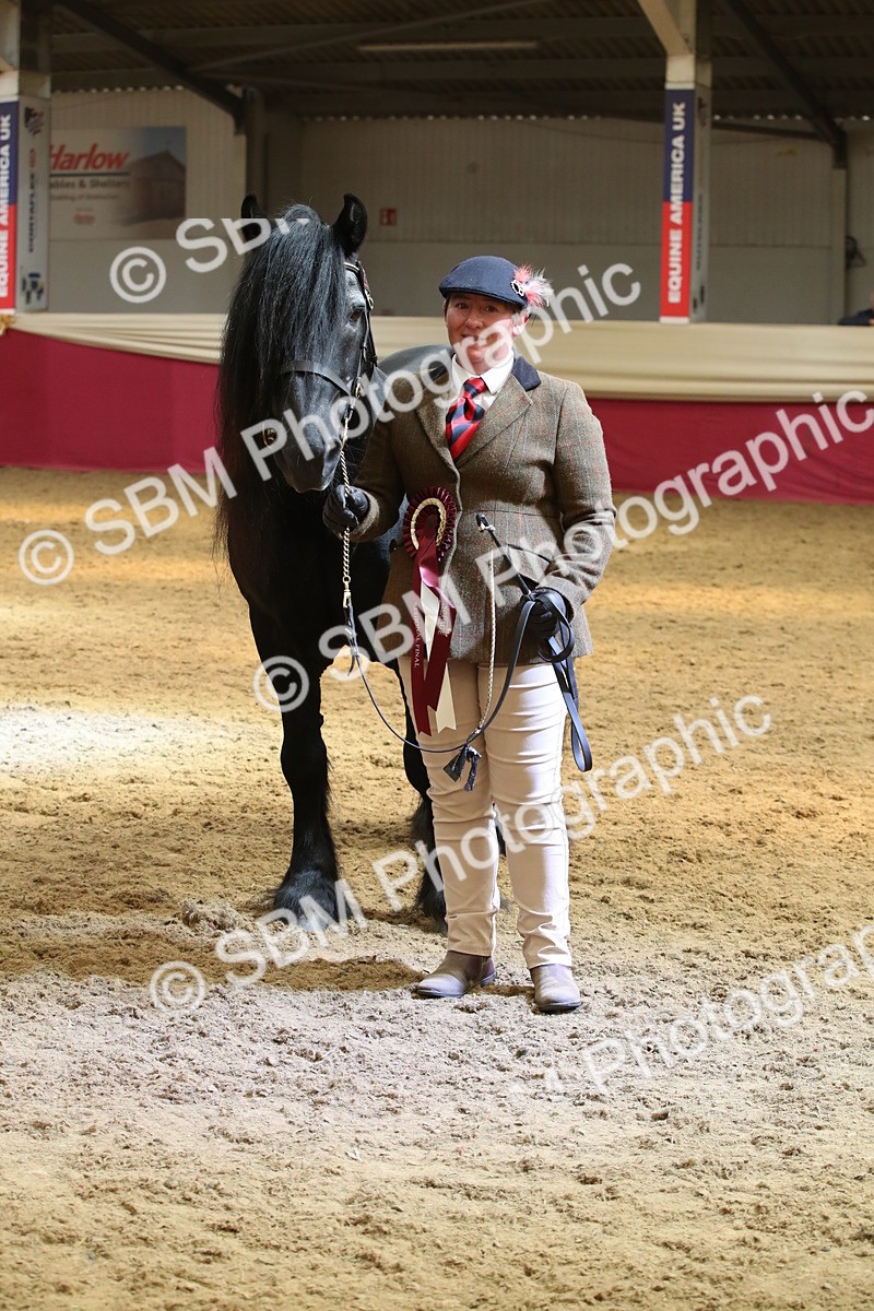 SBM_05418 - Class 8R - Regional IH Veteran