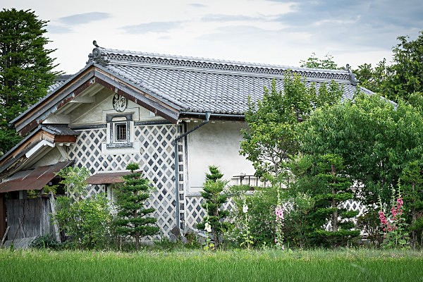 Kura with Gladioli - Japanese buildings in decline